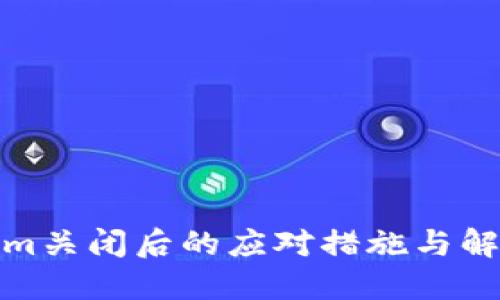 Tokenim关闭后的应对措施与解决方案