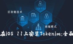 如何在iOS 11上安装Tokenim：