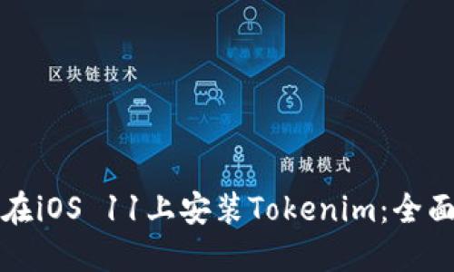 如何在iOS 11上安装Tokenim：全面指南