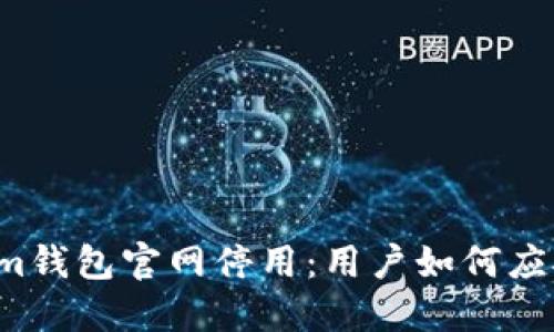 Tokentokenim钱包官网停用：用户如何应对与应急措施