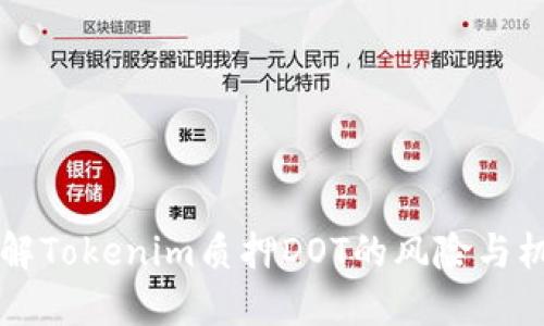 了解Tokenim质押DOT的风险与机遇