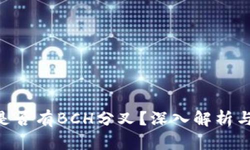 Tokenim是否有BCH分叉？深入解析与投资前景