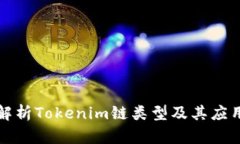 深入解析Tokenim链类型及其