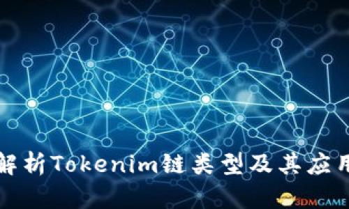 深入解析Tokenim链类型及其应用前景