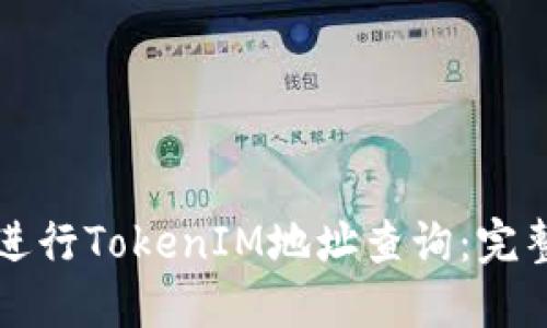 如何进行TokenIM地址查询：完整指南