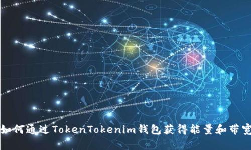 如何通过TokenTokenim钱包获得能量和带宽