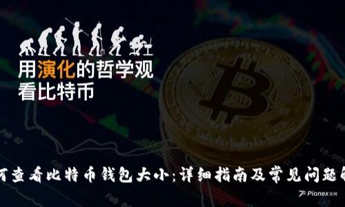 如何查看比特币钱包大小：详细指南及常见问题解答