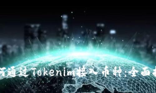 如何通过Tokenim接入币种：全面指南