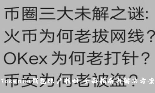 Tokenim钱包账户找回：全面指南与解决方案