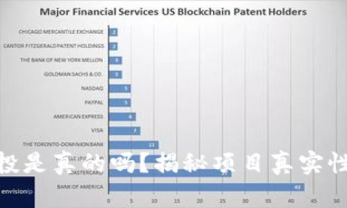 Tokenim空投是真的吗？揭秘项目真实性与收益潜力