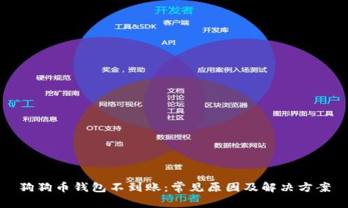 狗狗币钱包不到账：常见原因及解决方案