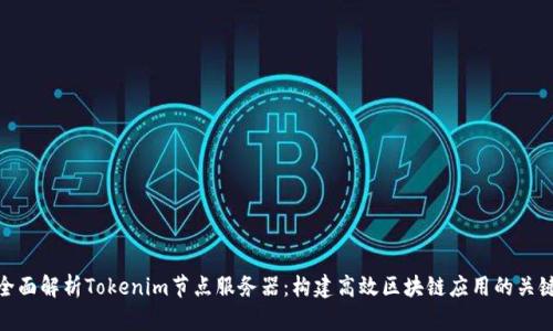 全面解析Tokenim节点服务器：构建高效区块链应用的关键