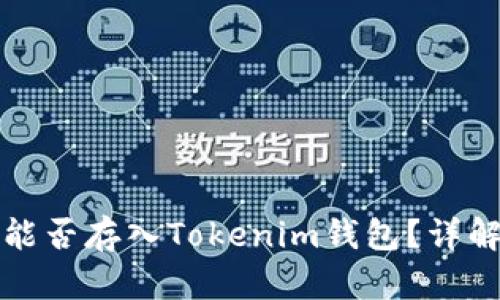 达世币能否存入Tokenim钱包？详解与指南