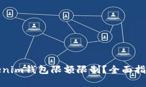 如何破解Tokenim钱包限额限制？全面指南与实用技巧