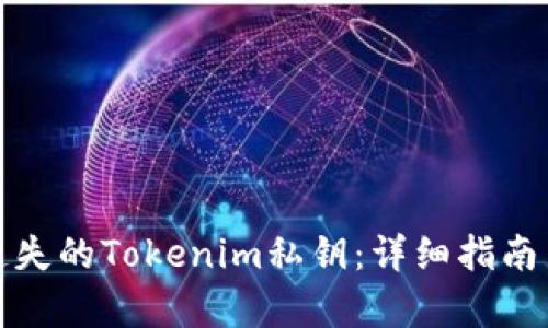 如何恢复遗失的Tokenim私钥：详细指南与解决方案