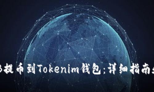 如何将BNB提币到Tokenim钱包：详细指南和注意事项