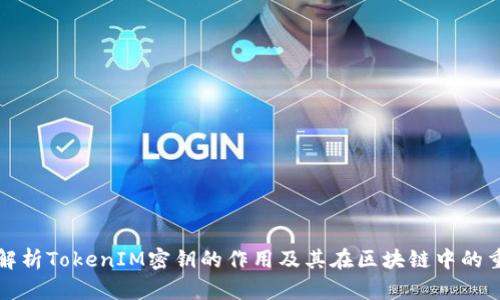 深入解析TokenIM密钥的作用及其在区块链中的重要性