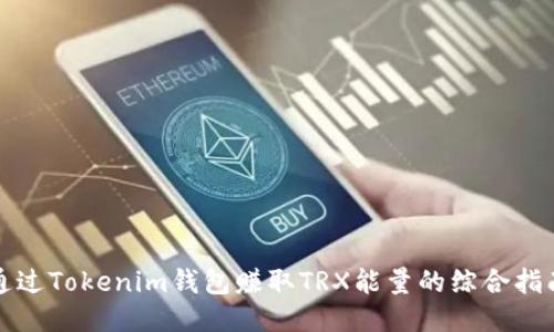 通过Tokenim钱包赚取TRX能量的综合指南