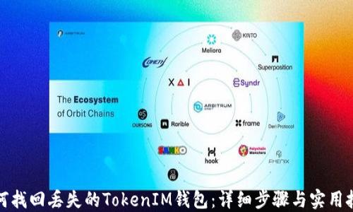 
如何找回丢失的TokenIM钱包：详细步骤与实用技巧