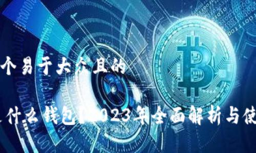 思考一个易于大众且的 

USDT是什么钱包？2023年全面解析与使用指南