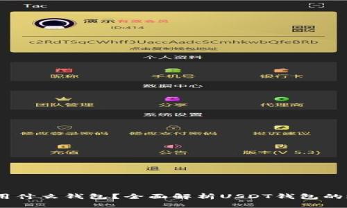 收取USDT用什么钱包？全面解析USDT钱包的选择与使用