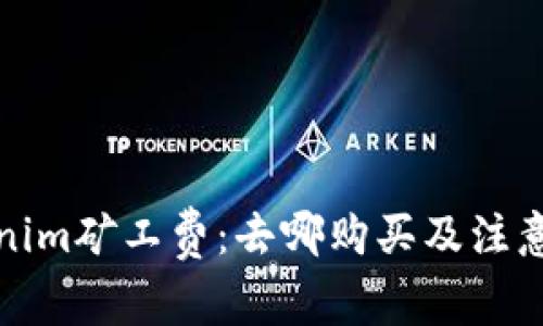 Tokenim矿工费：去哪购买及注意事项