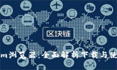 Tokenim浏览器：全面解析下