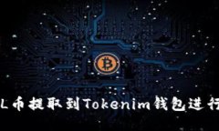 如何将FIL币提取到Tokenim钱