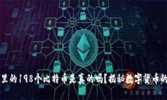 钱包里的198个比特币是真