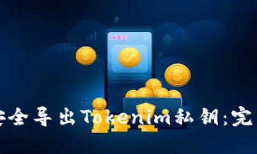 如何安全导出Tokenim私钥：完整指南