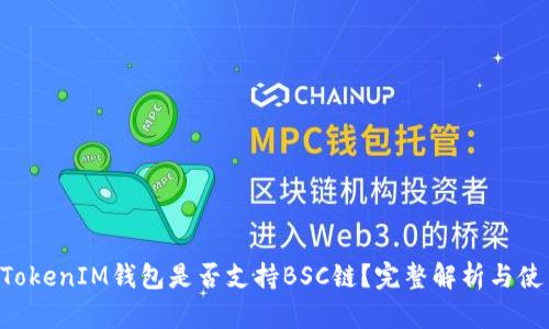 TokenTokenIM钱包是否支持BSC链？完整解析与使用指南