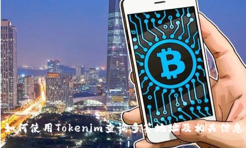 如何使用Tokenim查询多签地址及相关信息