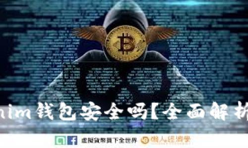 Tokentokenim钱包安全吗？全面解析与使用指南