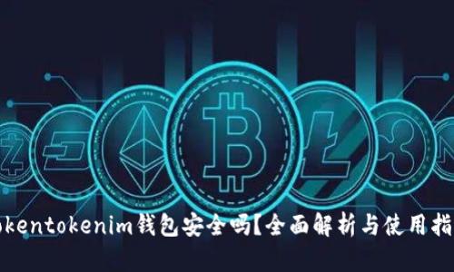 Tokentokenim钱包安全吗？全面解析与使用指南