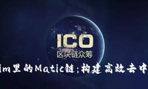 深入解析Tokenim里的Matic链：构建高效去中心化应用的未来