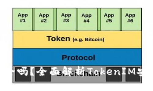 TokenIM授权安全吗？全面解析TokenIM安全性与使用建议