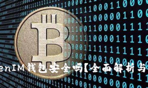 转到TokenIM钱包安全吗？全面解析与使用指南