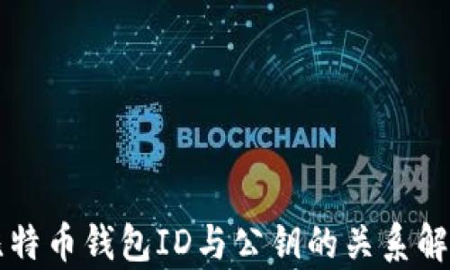 
比特币钱包ID与公钥的关系解析