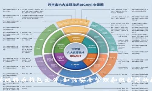 深入解析比特币钱包文件：如何安全管理和维护您的数字资产