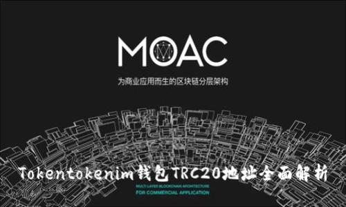 Tokentokenim钱包TRC20地址全面解析