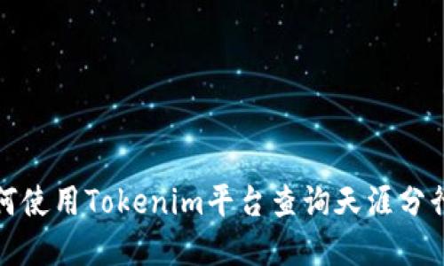 如何使用Tokenim平台查询天涯分行情