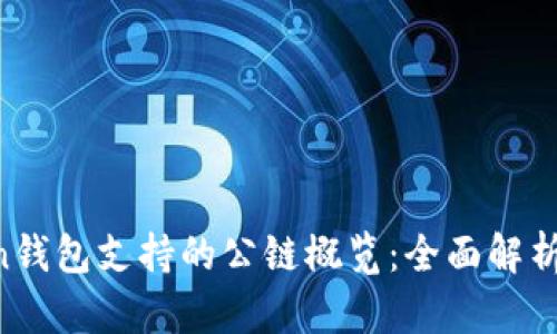 TokenToken钱包支持的公链概览：全面解析及用户指南