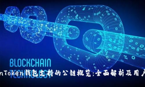 TokenToken钱包支持的公链概览：全面解析及用户指南