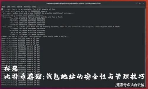标题  
比特币存储：钱包地址的安全性与管理技巧