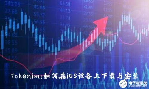 Tokenim：如何在iOS设备上下载与安装