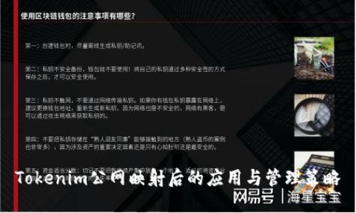 Tokenim公网映射后的应用与管理策略