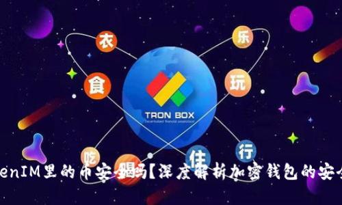 TokenIM里的币安全吗？深度解析加密钱包的安全性