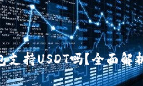 Tokenim钱包支持USDT吗？全面解析与使用指南