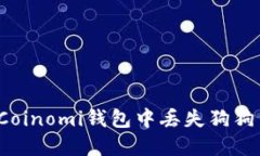 如何解决Coinomi钱包中丢失