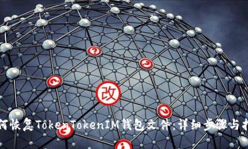 如何恢复TokenTokenIM钱包文件：详细步骤与指南